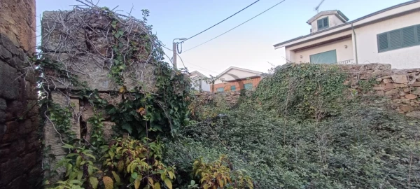Quinta T5 para Venda em Campo e Sobrado