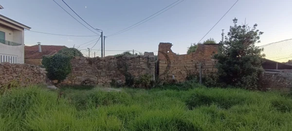 Quinta T5 para Venda em Campo e Sobrado