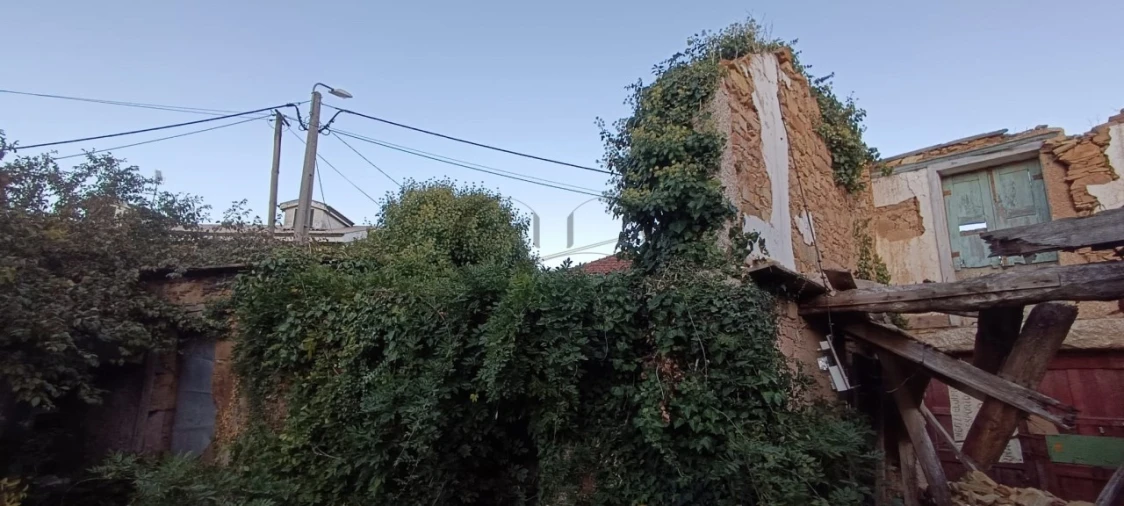 Quinta T5 para Venda em Campo e Sobrado Foto 6