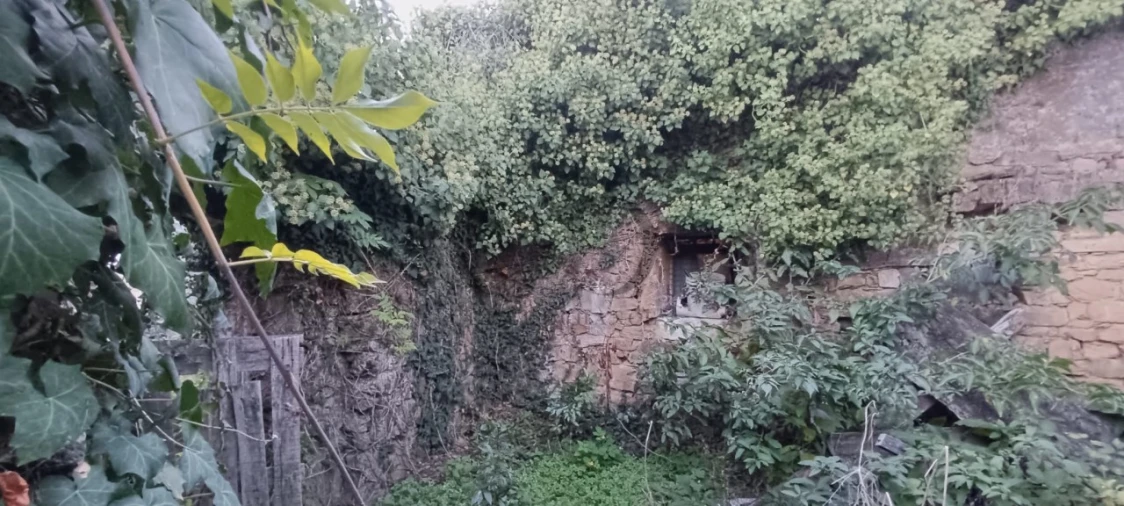 Quinta T5 para Venda em Campo e Sobrado Foto 12