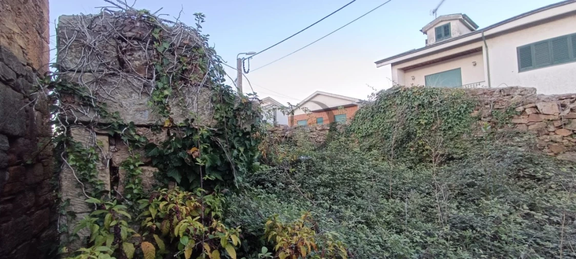 Quinta T5 para Venda em Campo e Sobrado Foto 13