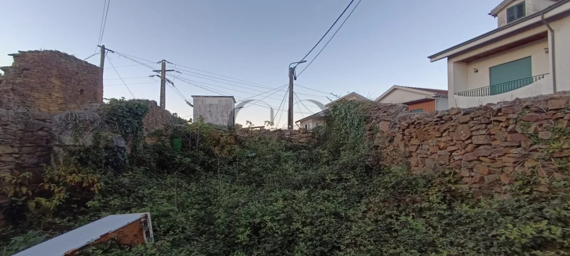 Quinta T5 para Venda em Campo e Sobrado Foto 15