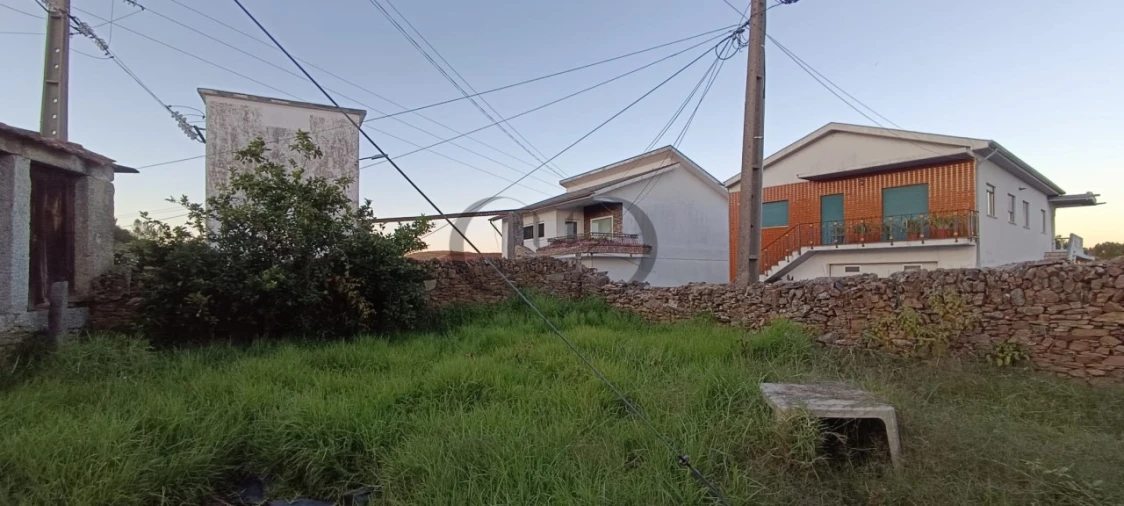 Quinta T5 para Venda em Campo e Sobrado Foto 17