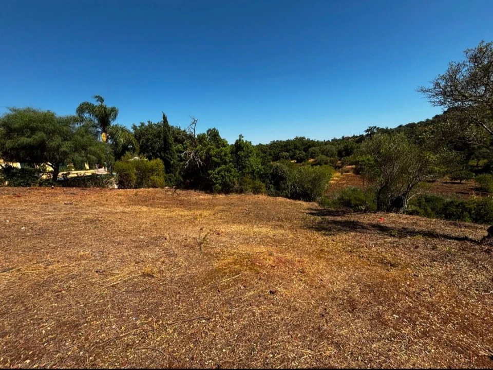 Terreno para Venda em São Brás de Alportel Foto 1