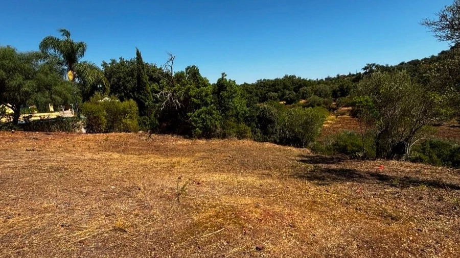 Terreno para Venda em São Brás de Alportel