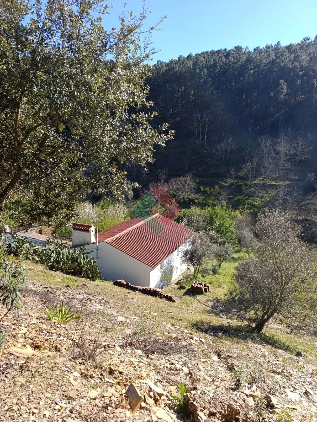 Quinta T3 para Venda em Alegrete Foto 1