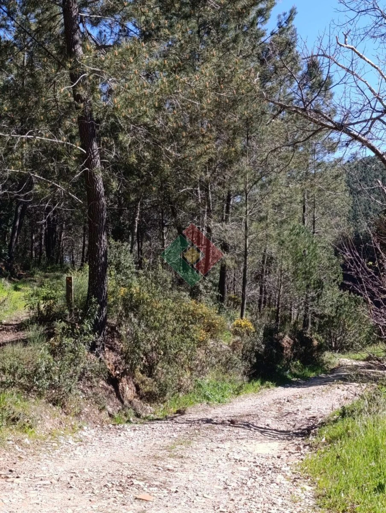 Quinta T3 para Venda em Alegrete Foto 24