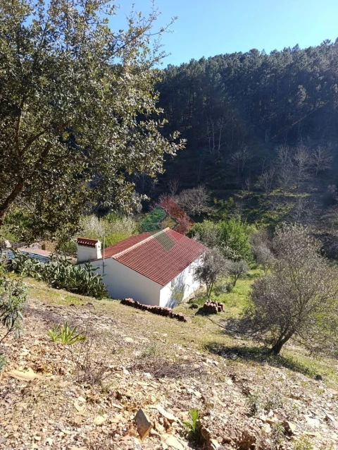 Quinta T3 para Venda em Alegrete