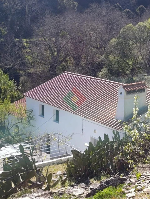Quinta T3 para Venda em Alegrete