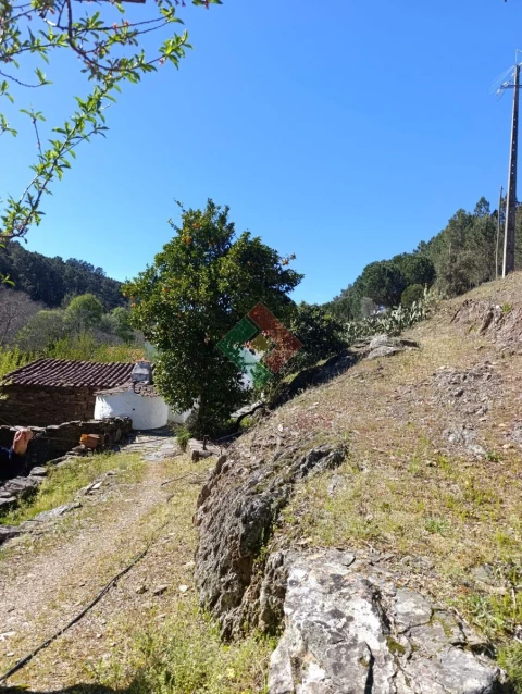 Quinta T3 para Venda em Alegrete