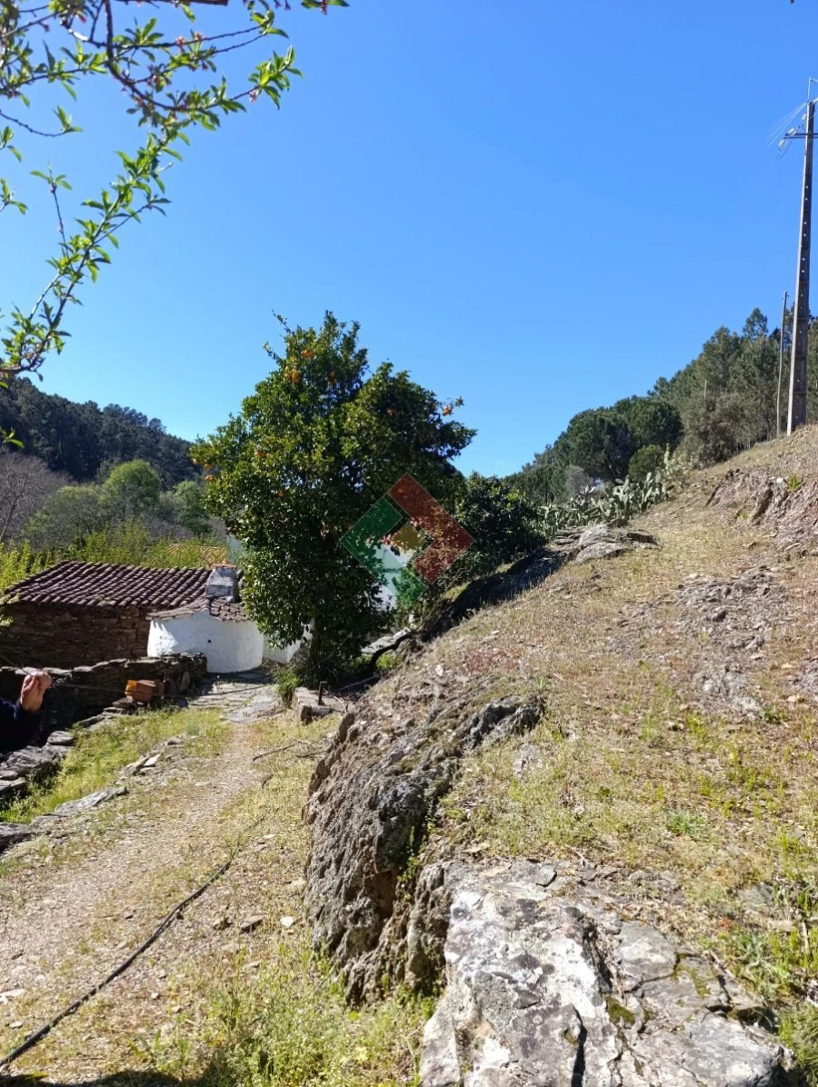 Quinta T3 para Venda em Alegrete Foto 4