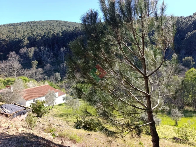 Quinta T3 para Venda em Alegrete Foto 5