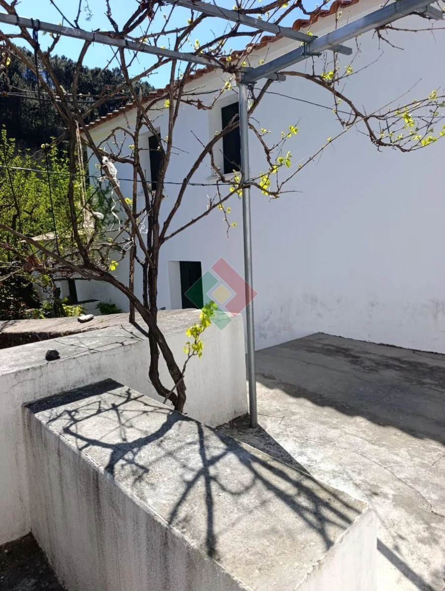 Quinta T3 para Venda em Alegrete Foto 9