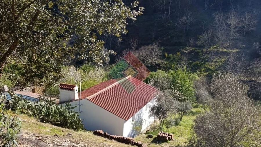 Quinta T3 para Venda em Alegrete