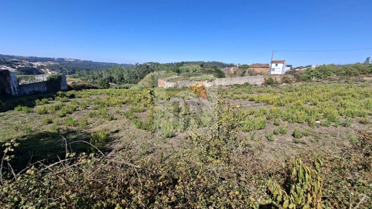 Terreno para Venda em Salir de Matos Foto 11