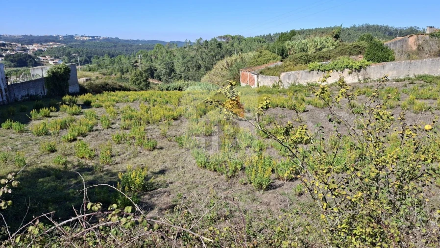 Terreno para Venda em Salir de Matos Foto 13