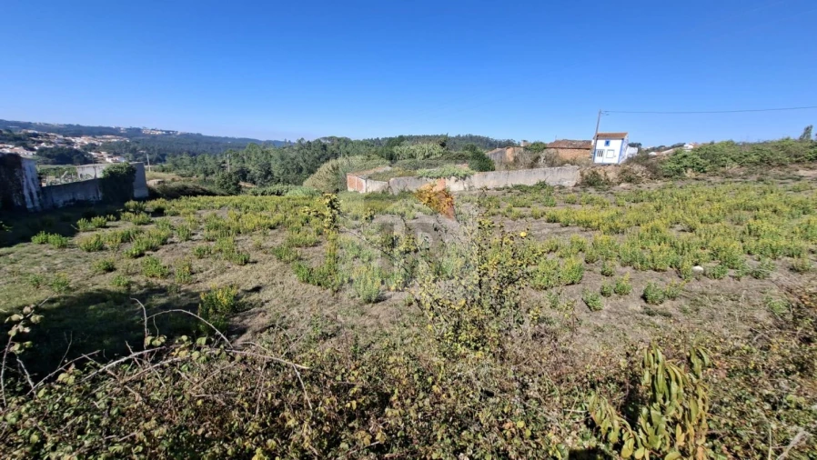 Terreno para Venda em Salir de Matos Foto 11