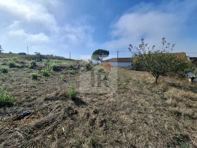 Quinta T1 para Venda em Nossa Senhora do Pópulo, Coto e São Gregório Foto 22