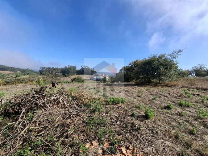 Quinta T1 para Venda em Nossa Senhora do Pópulo, Coto e São Gregório Foto 19