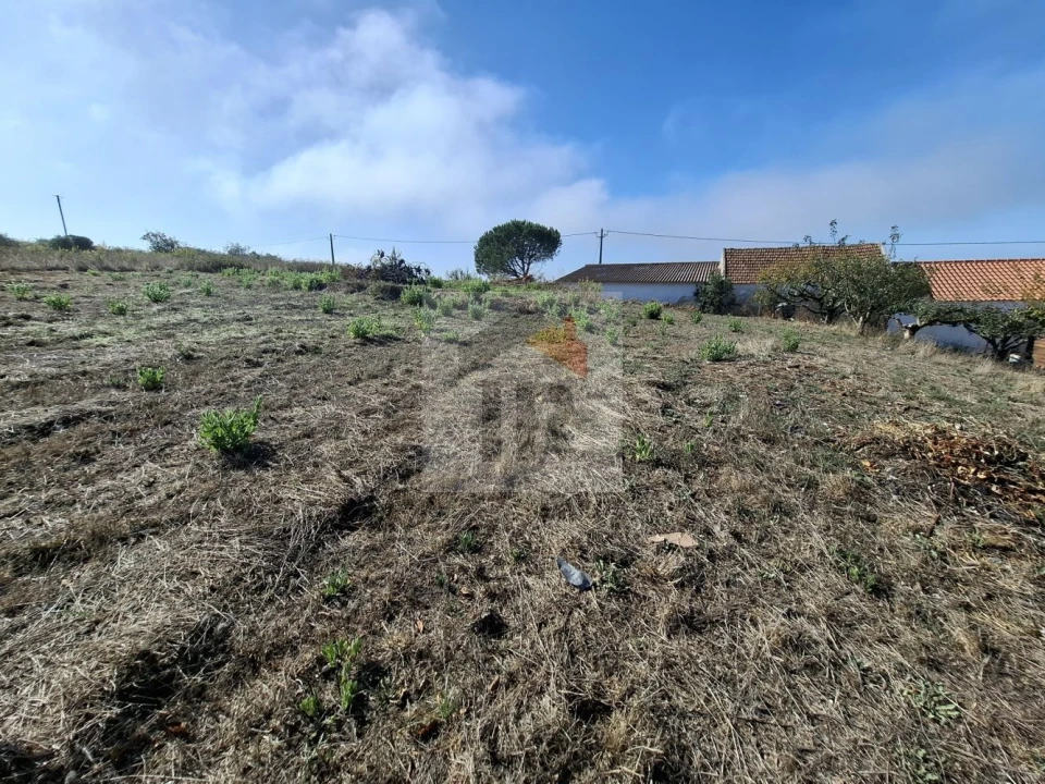 Quinta T1 para Venda em Nossa Senhora do Pópulo, Coto e São Gregório Foto 26