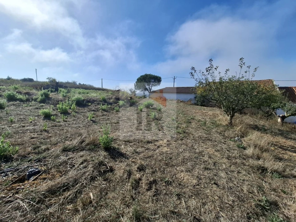 Quinta T1 para Venda em Nossa Senhora do Pópulo, Coto e São Gregório Foto 21