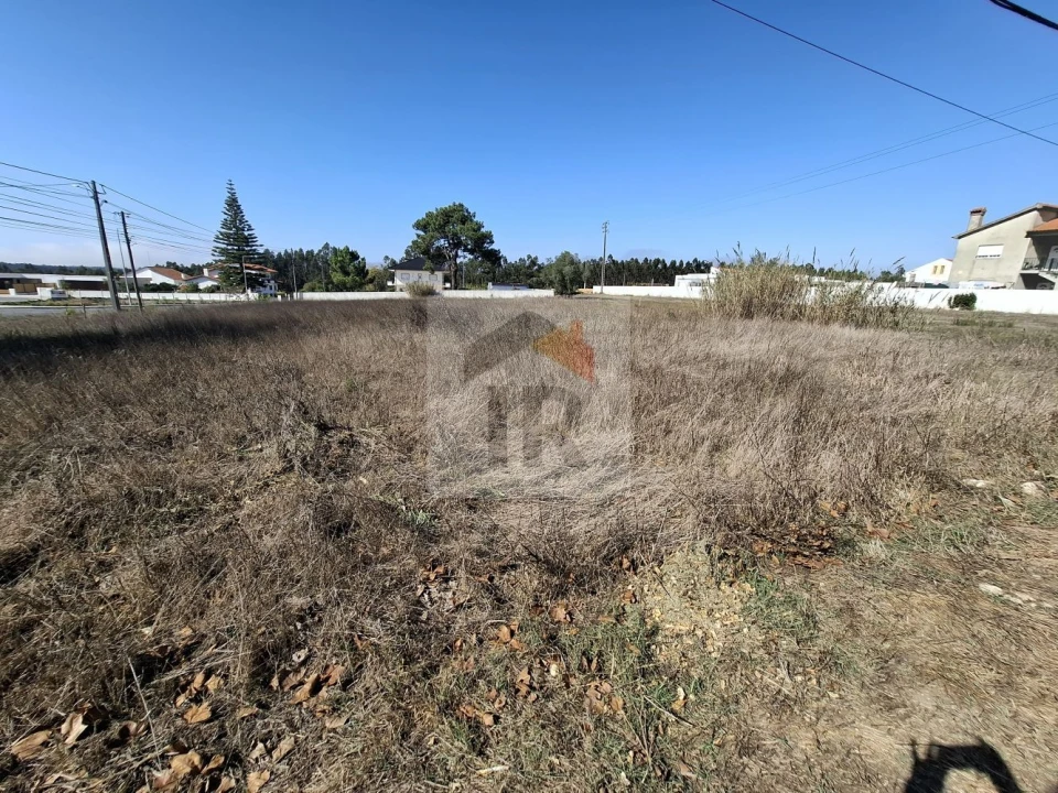 Terreno para Venda em Nadadouro Foto 3
