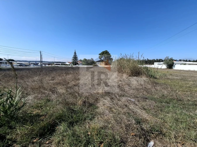 Terreno para Venda em Nadadouro Foto 6