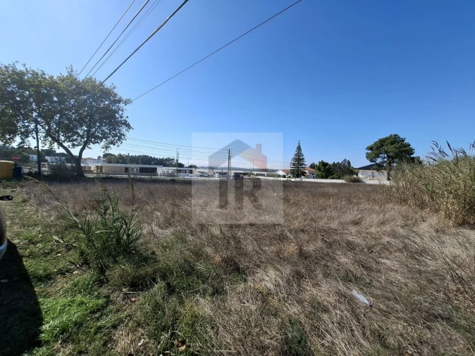 Terreno para Venda em Nadadouro Foto 8
