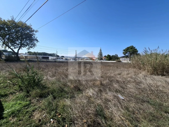 Terreno para Venda em Nadadouro Foto 7