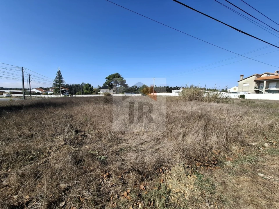 Terreno para Venda em Nadadouro Foto 4