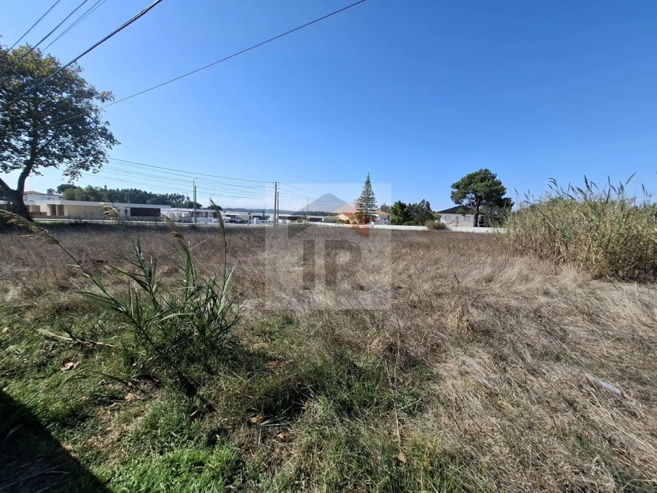 Terreno para Venda em Nadadouro Foto 5