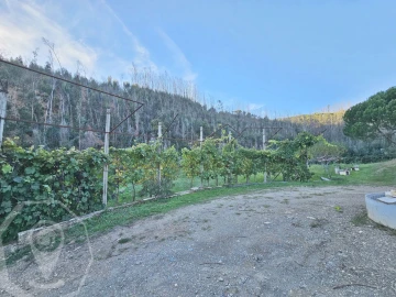 Terreno para Venda em Macinhata do Vouga