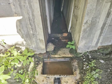 Terreno para Venda em Macinhata do Vouga