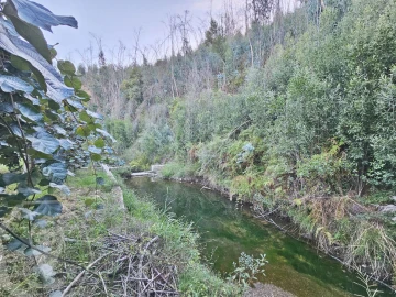Terreno para Venda em Macinhata do Vouga
