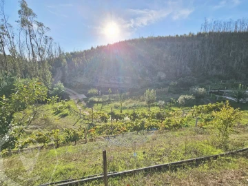 Terreno para Venda em Macinhata do Vouga