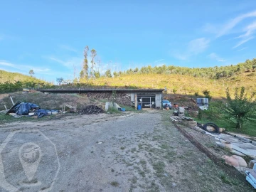 Terreno para Venda em Macinhata do Vouga