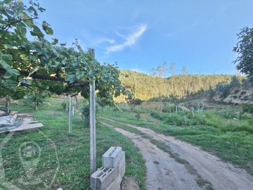 Terreno para Venda em Macinhata do Vouga