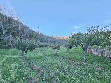Terreno para Venda em Macinhata do Vouga