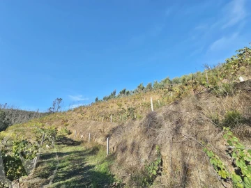 Terreno para Venda em Macinhata do Vouga
