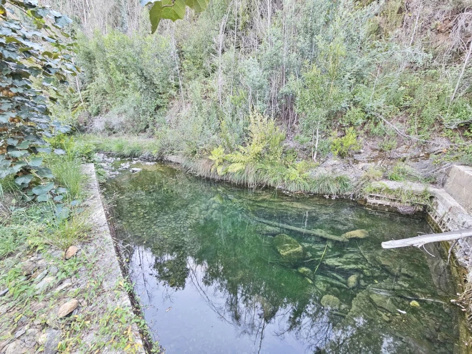 Terreno para Venda em Macinhata do Vouga Foto 17