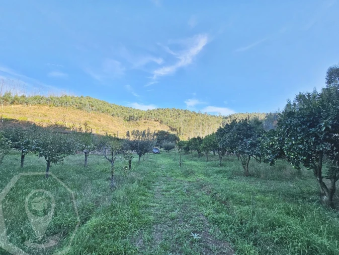 Terreno para Venda em Macinhata do Vouga Foto 20