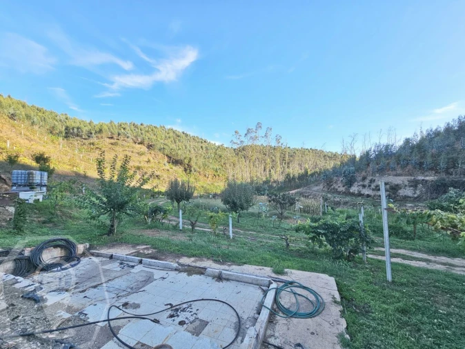 Terreno para Venda em Macinhata do Vouga Foto 28