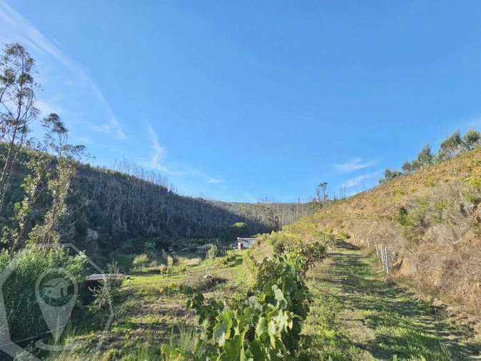 Terreno para Venda em Macinhata do Vouga Foto 9