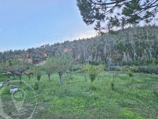 Terreno para Venda em Macinhata do Vouga Foto 15