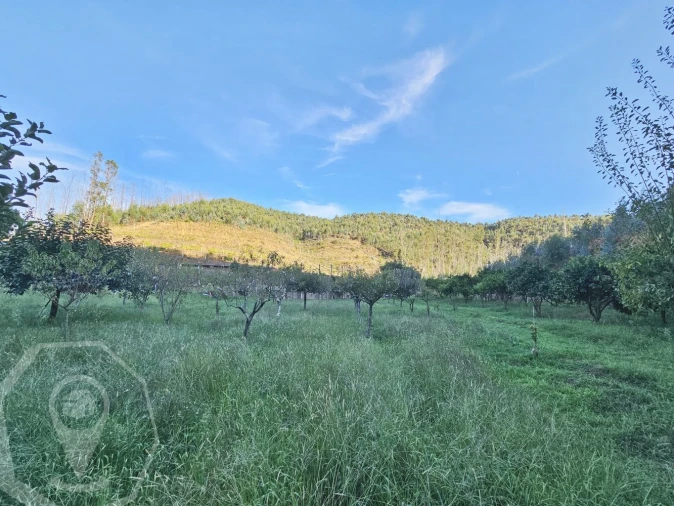 Terreno para Venda em Macinhata do Vouga Foto 18