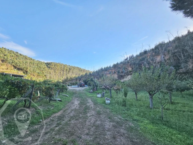 Terreno para Venda em Macinhata do Vouga Foto 14