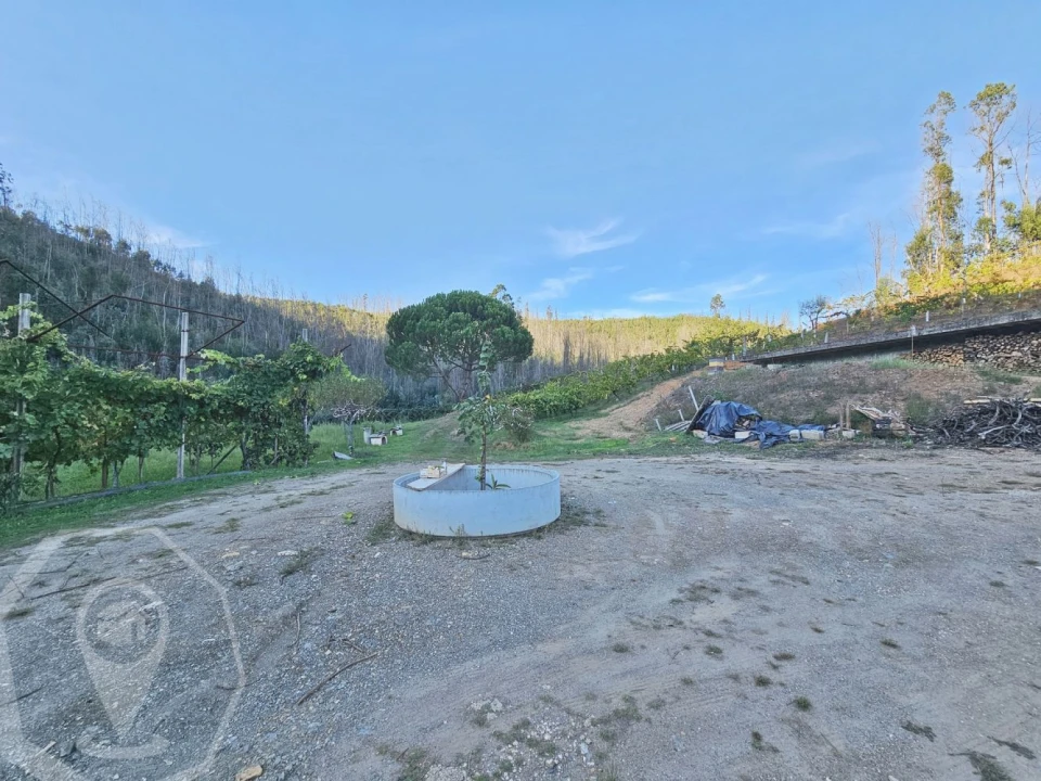 Terreno para Venda em Macinhata do Vouga Foto 25
