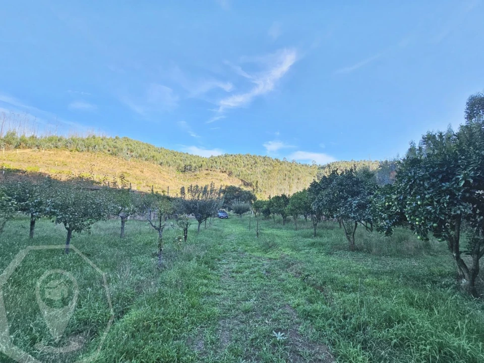 Terreno para Venda em Macinhata do Vouga Foto 20