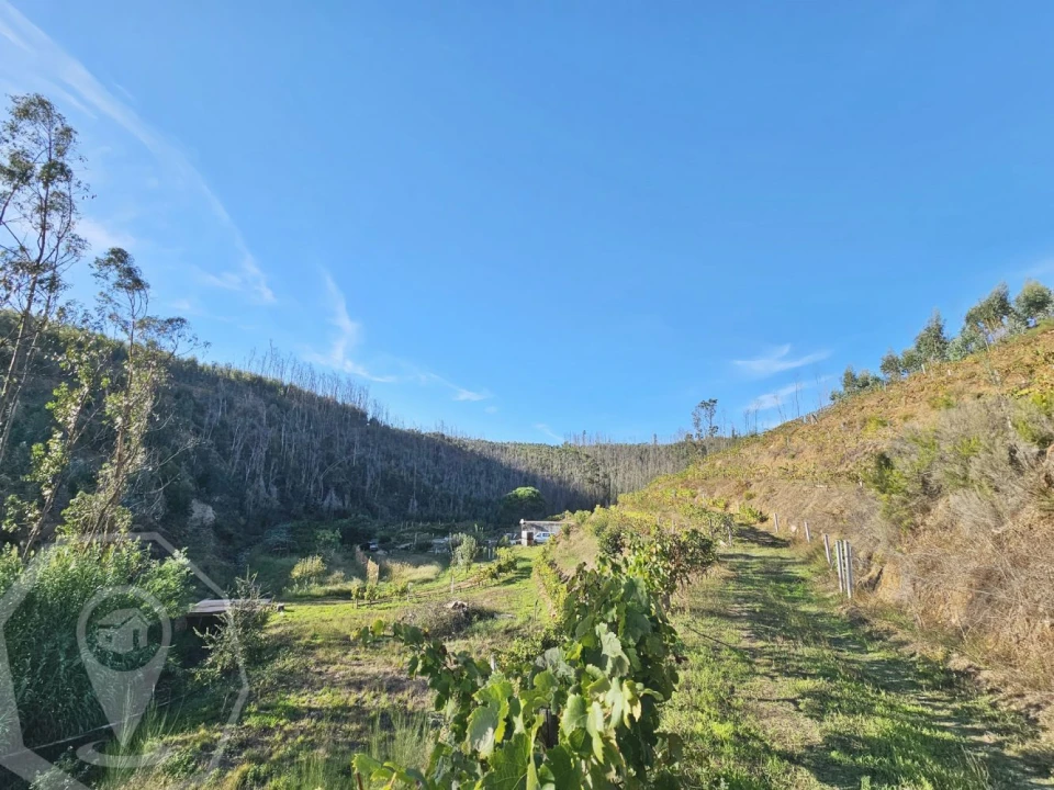 Terreno para Venda em Macinhata do Vouga Foto 9