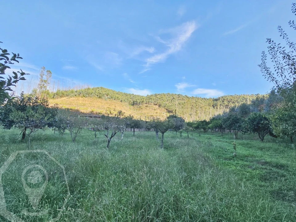 Terreno para Venda em Macinhata do Vouga Foto 18